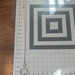 Silver Pendant Necklace-worn once